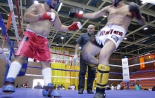 Semifinal kickboxing Grecia-España +90 kg lowkick