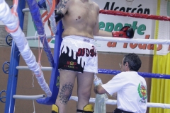 Semifinal kickboxing Grecia-España +90 kg