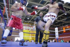 Semifinal kickboxing Grecia-España +90 kg lowkick