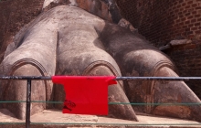 Indonesia, trampa para junglemafia.