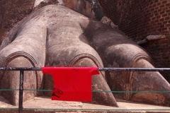 Indonesia, trampa para junglemafia.